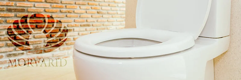 افتخارات شرکت چینی بهداشتی مروارید
